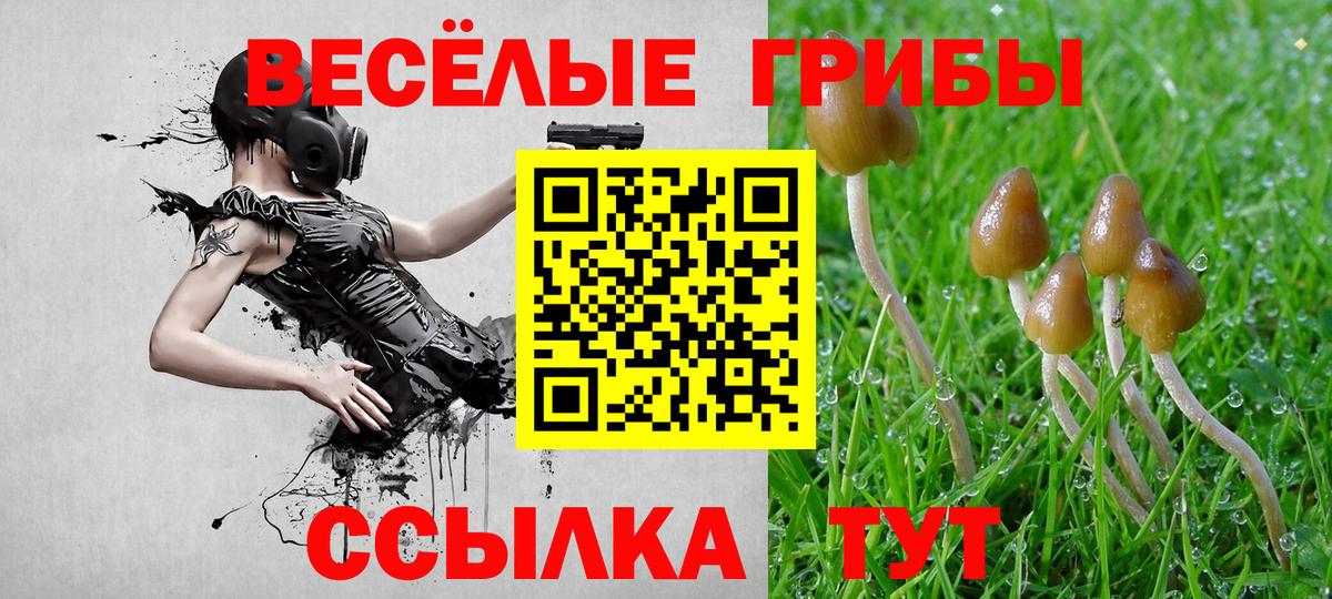 Галлюциногенные грибы Magic Shrooms Белая Калитва